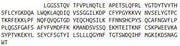 Recombinant Ectonucleoside Triphosphate Diphosphohydrolase 1 (ENTPD1), RPU53519