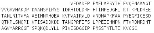 Recombinant Cadherin, Osteoblast (CDHOB), RPU53521