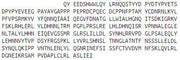 Recombinant Fibromodulin (FMOD), RPU53539