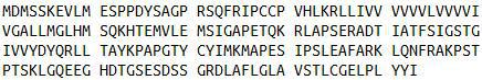 Recombinant Surfactant Protein C (SP-C), RPU53546