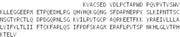 Recombinant Cluster Of Differentiation 83 (CD83), RPU53558