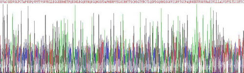 Recombinant Human Cluster Of Differentiation 83 (CD83)