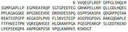 Recombinant Tau Protein (MAPT), RPU53565