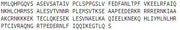 Recombinant Activating Transcription Factor 3 (ATF3), RPU53583