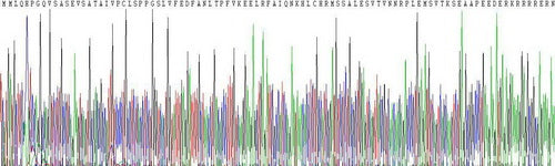 Recombinant Mouse Activating Transcription Factor 3 (ATF3)