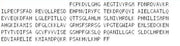 Recombinant Endoplasmic Reticulum To Nucleus Signalling 1 (ERN1), RPU53594