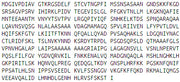 Figure 1. SDS-PAGE