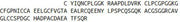 Recombinant Preprooxytocin (OT), RPU53629