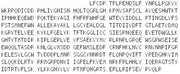 Recombinant Calpain 6 (CAPN6), RPU53656