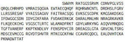Recombinant Wingless Type MMTV Integration Site Family, Member 2 (WNT2), RPU53704
