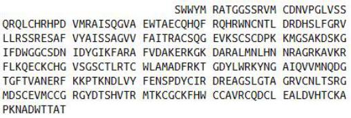 Recombinant Wingless Type MMTV Integration Site Family, Member 2 (WNT2), RPU53704