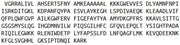 Recombinant NADH Dehydrogenase, Quinone 1 (NQO1), RPU53706