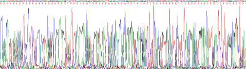 Recombinant Mouse Vitronectin (VTN)