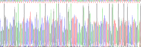 Eukaryotic Interleukin 10 (IL10), RPU53733