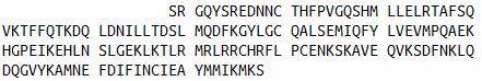 Eukaryotic Mouse Interleukin 10 (IL10)