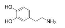 BSA Conjugated Dopamine (DA), RPU53743