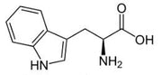 OVA Conjugated Tryptophan (Trp), RPU53746