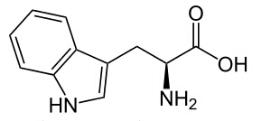 OVA Conjugated Tryptophan (Trp), RPU53746