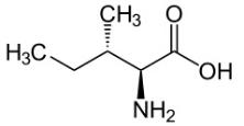 OVA Conjugated Isoleucine (Ile), RPU53749