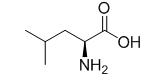 OVA Conjugated Leucine (Leu), RPU53750