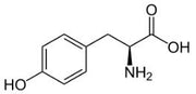OVA Conjugated Tyrosine (Tyr), RPU53752