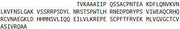 Recombinant Interleukin 17 (IL17), RPU53773