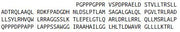 Eukaryotic Interleukin 11 (IL11), RPU53794