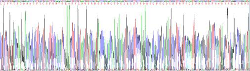 Recombinant Human Programmed Cell Death Protein 1 (PD1)