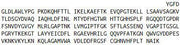Recombinant Chitinase-3-like Protein 1 (CHI3L1), RPU53831