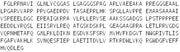 Recombinant Induced Myeloid Leukemia Cell Differentiation Protein Mcl-1 (MCL1), RPU53844