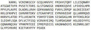 Recombinant Fucosyltransferase 8 (FUT8), RPU53864