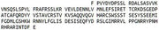 Recombinant Secreted Phosphoprotein 2 (SPP2), RPU53875