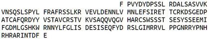 Recombinant Secreted Phosphoprotein 2 (SPP2), RPU53875