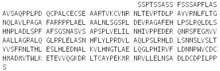 Recombinant 5T4, RPU53907