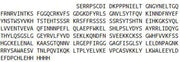 Recombinant Complement Component 7 (C7), RPU53917