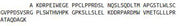 Recombinant Cluster Of Differentiation 19 (CD19), RPU53941