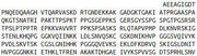 Recombinant Tau Protein (MAPT), RPU53944