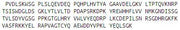 Recombinant Phosphatidylethanolamine Binding Protein 1 (PEBP1), RPU53986