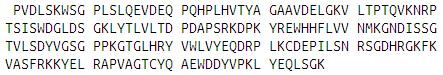 Recombinant Phosphatidylethanolamine Binding Protein 1 (PEBP1), RPU53986