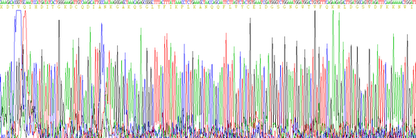 Eukaryotic Fibrinogen Gamma (FGg), RPU54014