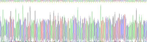 Recombinant Human Secretogranin II (SCG2)