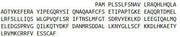Recombinant Growth Hormone (GH), RPU54028