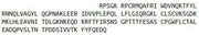 Recombinant Interleukin 1 Receptor Antagonist (IL1RA), RPU54032