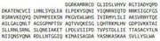 Recombinant Plakophilin 2 (PKP2), RPU54038