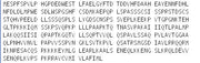 Recombinant Activating Transcription Factor 6 (ATF6), RPU54063