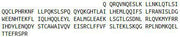 Recombinant Interferon Epsilon (IFNe), RPU54091