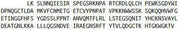 Recombinant Collagen Type II Alpha 1 (COL2a1), RPU54093