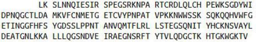 Recombinant Collagen Type II Alpha 1 (COL2a1), RPU54093
