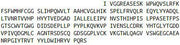 Recombinant Tryptase Beta 2 (TPSb2), RPU54101