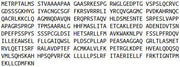 Recombinant Photoreceptor Cell Specific Nuclear Receptor (PNR), RPU54103